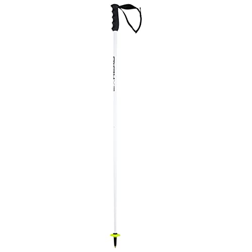 HEAD Worldcup SL Skistöcke,...