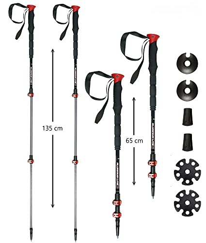 SKINSTAR T1 Tourenstock Trekkingstöcke...